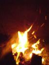 <img100*0:stuff/aj/42000/1262127026.jpg>