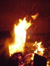 <img100*0:stuff/aj/42000/1262127414.jpg>