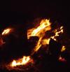 <img100*0:stuff/aj/42000/1262127470.jpg>