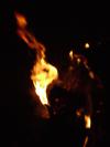 <img100*0:stuff/aj/42000/1262189237.jpg>