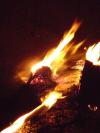 <img100*0:stuff/aj/42000/1262189628.jpg>