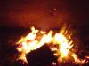 <img100*0:stuff/aj/42000/1262189683.jpg>