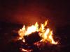 <img100*0:stuff/aj/42000/1262189739.jpg>