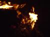 <img100*0:stuff/aj/42000/1262190193.jpg>