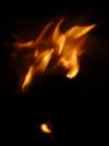 <img100*0:stuff/aj/42000/1262191935.jpg>