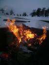 <img100*0:stuff/aj/42000/1262193522.jpg>