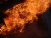 <img100*0:stuff/aj/42000/1262195665.jpg>