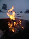 <img100*0:stuff/aj/42000/1262197440.jpg>