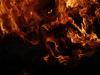 <img100*0:stuff/aj/42000/1262197561.jpg>