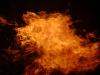 <img100*0:stuff/aj/42000/1262199373.jpg>