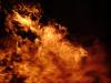 <img100*0:stuff/aj/42000/1262199731.jpg>