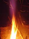 <img100*0:stuff/aj/42000/1262213068.jpg>