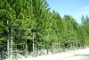 <img100*0:stuff/aj/42000/1262273308.jpg>