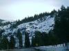 <img100*0:stuff/aj/42000/1262273572.jpg>