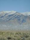 <img100*0:stuff/aj/42000/1262275966.jpg>