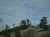 <img100*0:stuff/aj/42000/1262638329.jpg>