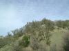 <img100*0:stuff/aj/42000/1262638406.jpg>