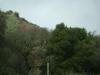 <img100*0:stuff/aj/42000/1262638513.jpg>