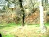 <img100*0:stuff/aj/42000/1262638578.jpg>