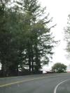 <img100*0:stuff/aj/42000/1262638900.jpg>