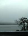 <img100*0:stuff/aj/42000/1262639668.jpg>