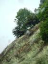 <img100*0:stuff/aj/42000/1262640135.jpg>