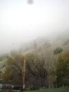 <img100*0:stuff/aj/42000/1262640259.jpg>
