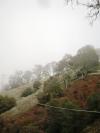 <img100*0:stuff/aj/42000/1262640396.jpg>
