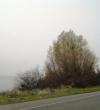<img100*0:stuff/aj/42000/1262640450.jpg>