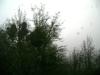 <img100*0:stuff/aj/42000/1262641344.jpg>