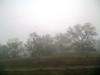 <img100*0:stuff/aj/42000/1262641454.jpg>