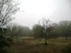 <img100*0:stuff/aj/42000/1262641540.jpg>