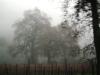 <img100*0:stuff/aj/42000/1262641630.jpg>