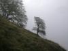 <img100*0:stuff/aj/42000/1262641805.jpg>