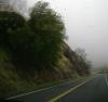<img100*0:stuff/aj/42000/1262642252.jpg>