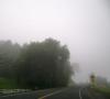 <img100*0:stuff/aj/42000/1262642302.jpg>