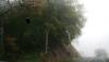 <img100*0:stuff/aj/42000/1262642365.jpg>