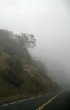 <img100*0:stuff/aj/42000/1262643514.jpg>
