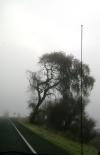 <img100*0:stuff/aj/42000/1262643630.jpg>