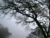 <img100*0:stuff/aj/42000/1262644333.jpg>
