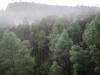 <img100*0:stuff/aj/42000/1262644426.jpg>