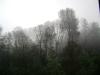 <img100*0:stuff/aj/42000/1262644640.jpg>