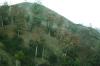 <img100*0:stuff/aj/42000/1262645174.jpg>