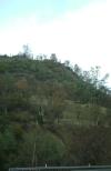 <img100*0:stuff/aj/42000/1262645409.jpg>