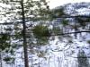 <img100*0:stuff/aj/42000/1262645817.jpg>