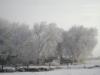 <img100*0:stuff/aj/42000/1262646593.jpg>