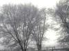 <img100*0:stuff/aj/42000/1262646893.jpg>