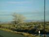 <img100*0:stuff/aj/42000/1262647307.jpg>