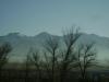 <img100*0:stuff/aj/42000/1262647666.jpg>