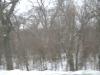 <img100*0:stuff/aj/42000/1262709250.jpg>